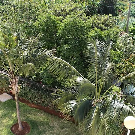 Portinho Ii-modern With Balcony Facing The Sea كانيكو